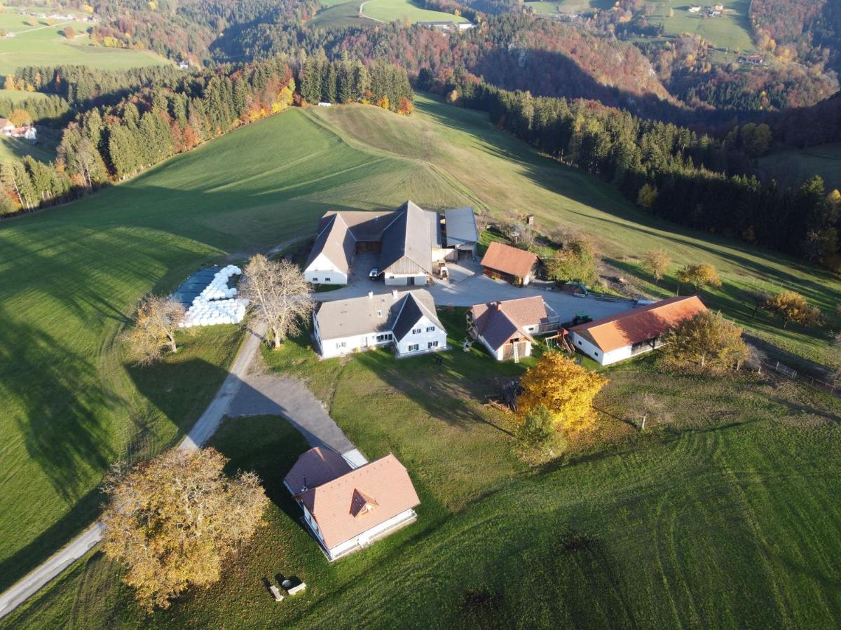 Ferienhaus Reisinger Promschhof Semriach Exterior photo