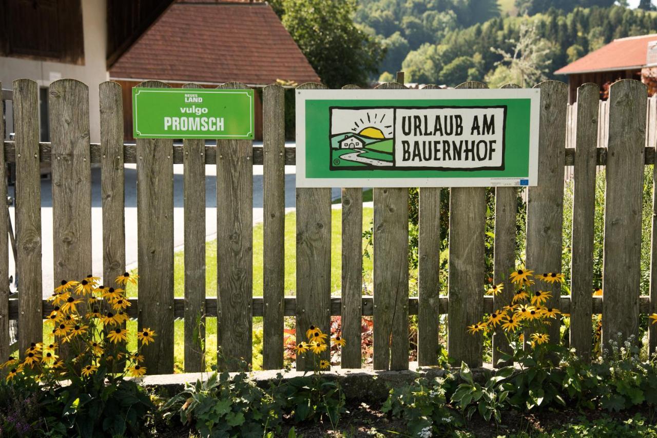Ferienhaus Reisinger Promschhof Semriach Exterior photo